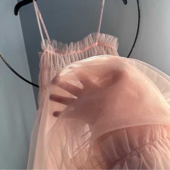 Anthropologie Pink Sheer Maxi Dress - Picture 3 of 5